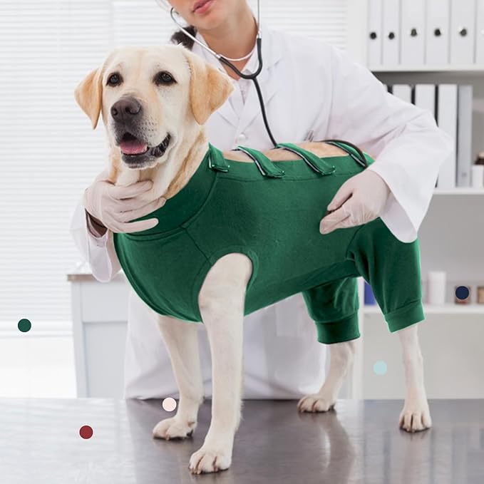 IECOii Pet Surgery Recovery Suit,Breathable Dog Bodysuit E-Collar & Cone Alternative Surgical Suit After Spayed/Neutered Wear,Recovery Suit for Dogs Male Female Sleeve to Prevent Licking,XL-Green