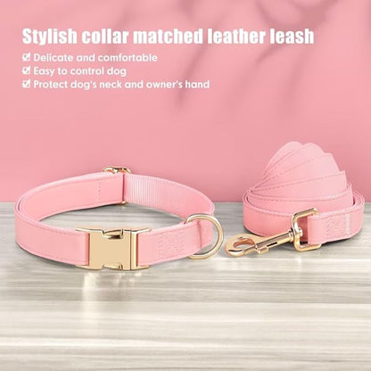 PET ARTIST Soft PU Leather Dog Collar and Leash Set, Bright & Stylish 5FT PU Leather Leash and Collar Set, Durable Pet Collars with Quick Release Metal Buckle for Medium Dogs,Pink,M(13-19")