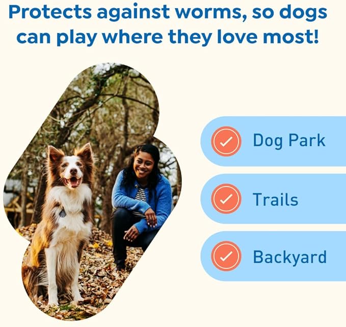 Interceptor Plus Prevention for Heartworm + 4 Other Worms for Dogs 25.1-50 lbs. | 1 Chew, 1-Month Supply