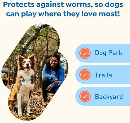 Interceptor Plus Prevention for Heartworm + 4 Other Worms for Dogs 25.1-50 lbs. | 1 Chew, 1-Month Supply