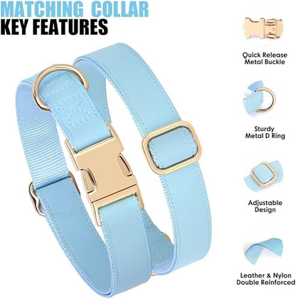 PET ARTIST Soft PU Leather Dog Collar and Leash Set, Bright & Stylish 5FT PU Leather Leash and Collar Set, Durable Pet Collars with Quick Release Metal Buckle for Large Dogs,Blue,L(16-27")
