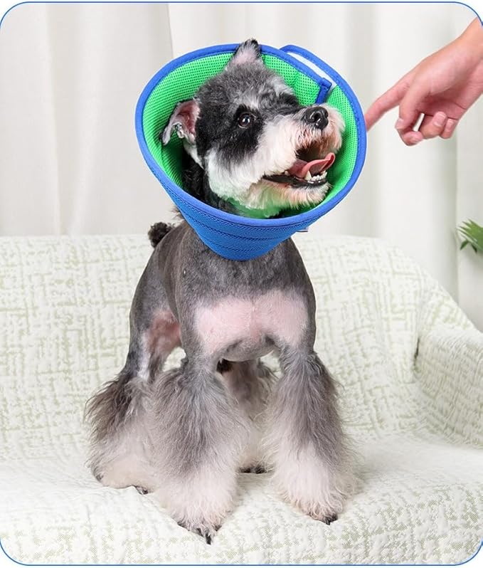 Soft Dog Cone Collar Alternative, Adjustable E-Collar for Surgery Recovery & Wound Protection. Comfy Elizabethan Cone for All Pets. (Blue, XL (Fit 20-49 lb Dog))
