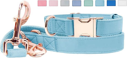Soft Leather Dog Collar and Leash (6.6') Set - Stylish Rose Gold Heavy Duty Metal Buckle, 4 Adjustable Lengths Leash for Small Medium Large Dogs - Comfortable & Easy to Clean Light Blue XS(8"-12")
