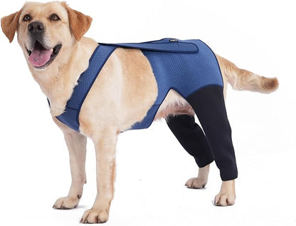 Dog Hind Leg Recovery Sleeve Dog Recovery Suit as Cone Collar Alternative, 2.5mm Thick and Waterproof, Prevent Pet Wounds Licking, Biting (2XLarge)
