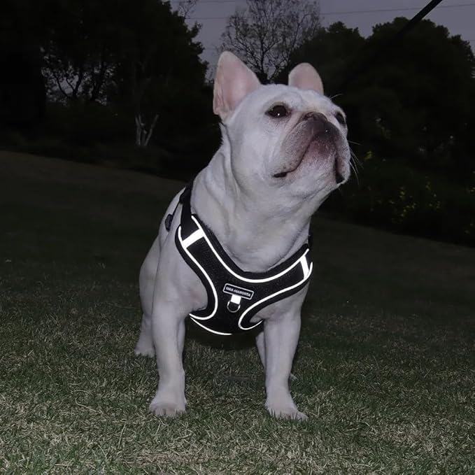 Dog Harness and Leash Set, Adjustable Triangle, Reflective Adjustable Puppy Vest, No Pull Soft Mesh Harness for Small, Medium Dogs, Cats (Black, M)