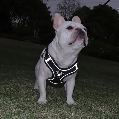 Dog Harness and Leash Set, Adjustable Triangle, Reflective Adjustable Puppy Vest, No Pull Soft Mesh Harness for Small, Medium Dogs, Cats (Black, M)