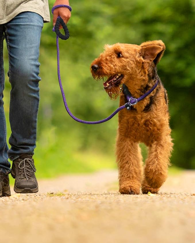 TagME 6ft Slip Dog Lead, No Pull Reflective Training Leash with Padded Handle, Professional Rope P-Leash for Small Medium Large Dogs, Heavy Duty Correction Lead for Walking & Training (Purple)