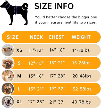 IVY&LANE No Pull Dog Harness for Medium Dogs, Dog Vest Harness with Leash, Safety Belt and Storage Strap, Fully Adjustable Harness, 360° Reflective Strip, Soft Handle (Orange, M)