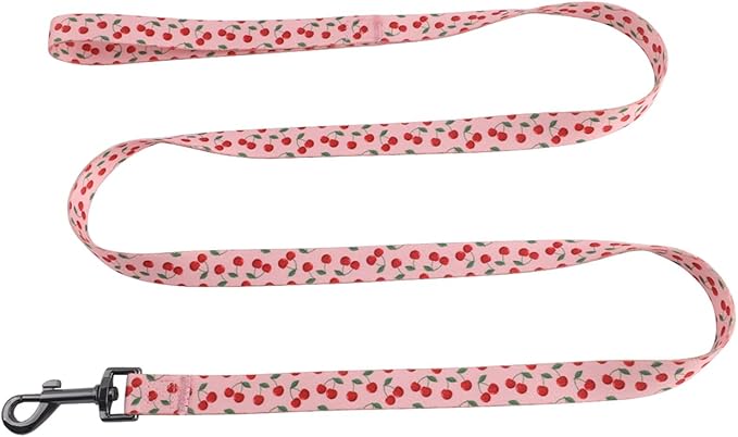 Harness and Leash Set, Floral Pattern, 5ft Matching Leash, No Pull, Easy Wear for Small Dogs.(S, Pink Cherry)