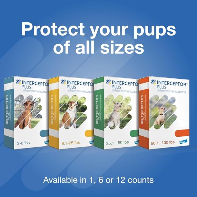 Interceptor Plus Prevention for Heartworm + 4 Other Worms for Dogs 2-8 lbs. | 6 Chews, 6-Month Supply