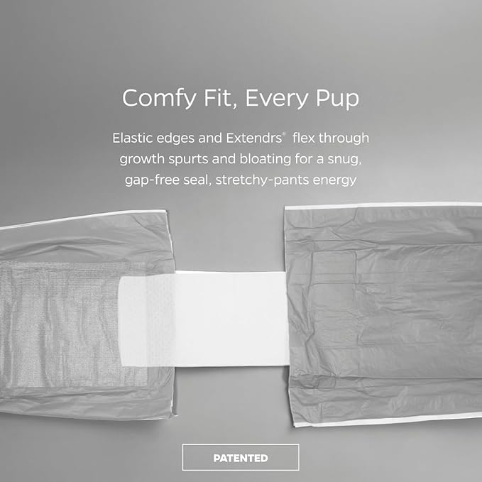Pet Parents® DiPees® Disposable Belly Bands for Male Dogs + Extendrs®, Male Dog Wraps, Leak Proof, Up to 83% Plant Based, Premium Disposable Dog Diapers Male (Grey, Small (12-20"), 10ct)