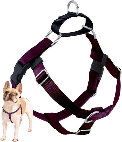 2 Hounds Design Freedom No Pull Dog Harness, Adjustable Harness, Easy Walking & Comfortable Control, Fits Small, Medium & Large Dogs, Solid Colors, Made in USA, 1" LG, Burgundy
