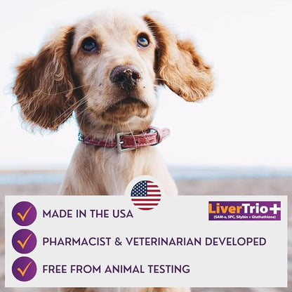 Comprehensive Liver Support Supplement for Large Dogs. Flavorful Chewable Tablets Combining Same, SPC, Silybin A+B, + Glutathione 30Ct (Large)
