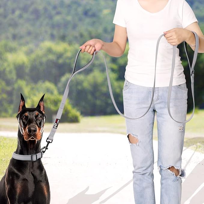 Plutus Pet Double Handle Dog Leash 4ft, Heavy Duty, Reflective Dual Handle Dog Leash for Safety Training, for Medium Large Dogs,2 Handle Leads(Gray)