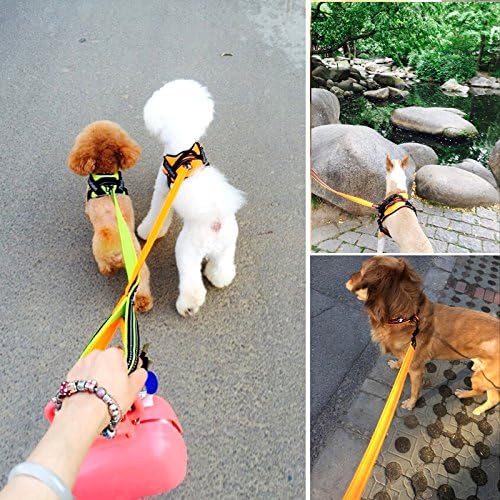 Creation Core Reflective Nylon Dog Harness and Training Leash Set Padded Durable Adjustable, Green S