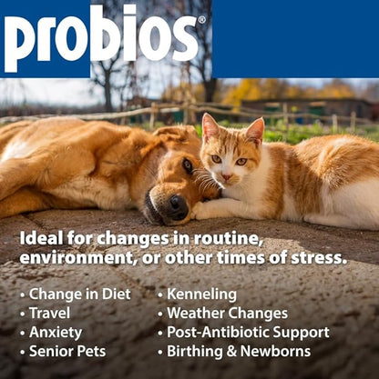 Probios for Dogs Soft Chews, Probiotics for Dogs, Daily Supplement for Gut Health, Digestion & Immune Support, Medium & Large Breeds, 8.46oz
