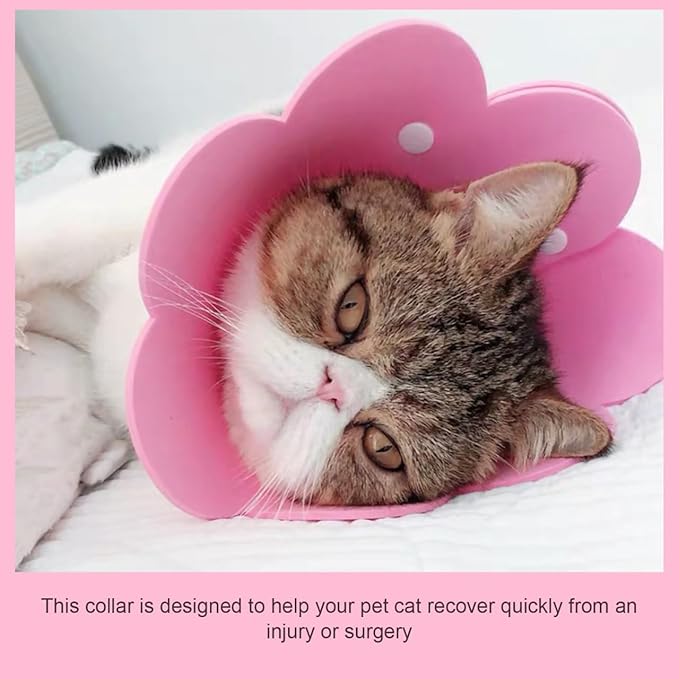 Cat Recovery Collar, Cat Recovery Collar Protective Cone Licking Neck Cone Kitten Pet Eva -Scratch