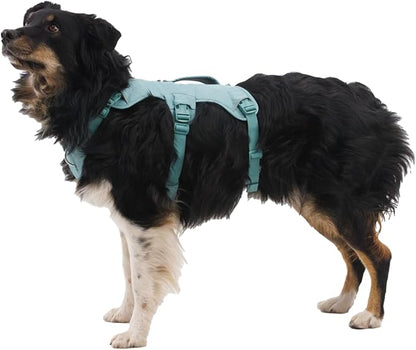 Ruffwear, Web Master, Multi-Use Support Dog Harness, Hiking and Trail Running, Service and Working, Everyday Wear, Red Canyon, XX-Small