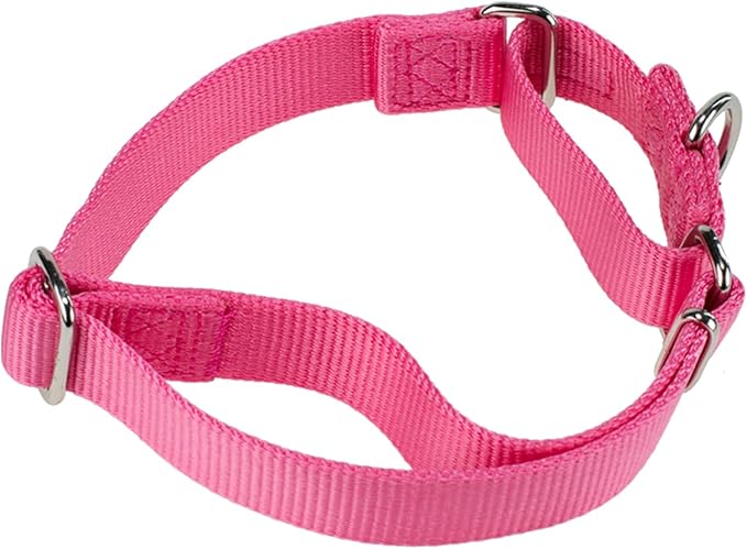 Hyhug Martingale Dog Collar Medium Pink |Escape - Proof Heavy Duty Nylon Durable No Slip, Ideal for Training & Daily Walks