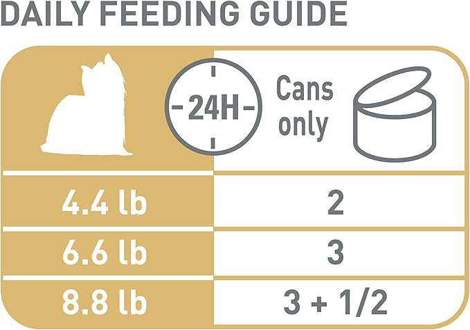 Royal Canin Breed Health Nutrition Yorkshire Terrier Adult Loaf in Sauce Dog Food, 3 oz (Pack of 6)
