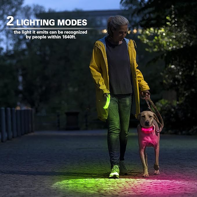Dog Leash Light 2 Pack, LED Night Walking Safety Light for Collar Harness, Waterproof Glow Band with Nylon Stickers, Easy Clip-on Attachment for Small Large Dogs