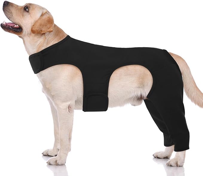 ROZKITCH Dog Pants to Prevent Licking for Rear Right Left Leg, Adjustable Pet Prevent Licking Wound Elbow Protector, Dog Cone Collar Alternative for Sprain ACL CCL Arthritis Joint Care Black M