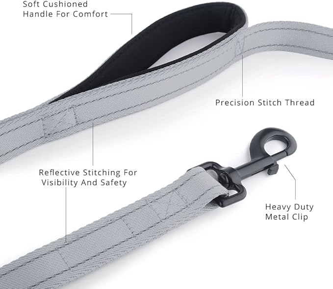 Plutus Pet Double Handle Dog Leash 6ft, Heavy Duty, Reflective Dual Handle Dog Leash for Safety Training, for Medium Large Dogs, 2 Handle Leads(Gray)