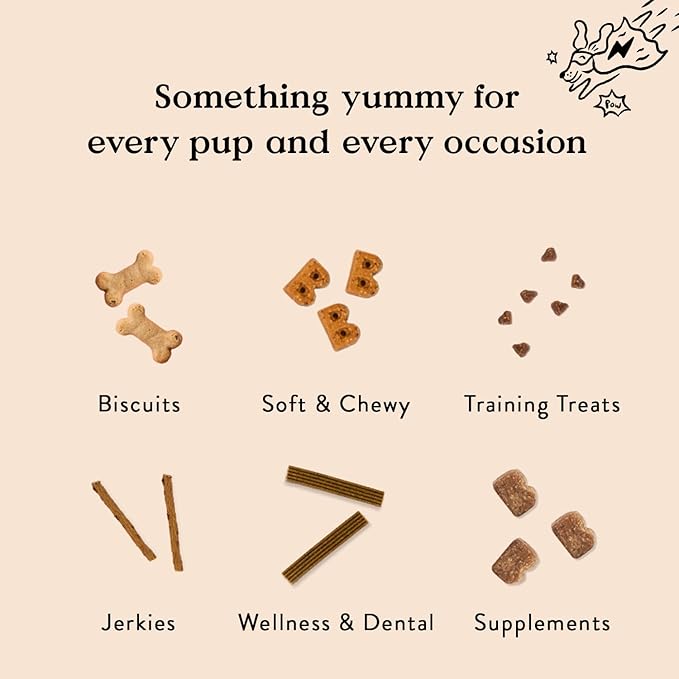 Bocce's Bakery Natural, Small Batch, Organic Dog Treats, Pumpk'n Harvest Biscuits, Wheat-Free, Limited-Ingredient, Made in The USA with 100% Recyclable Packaging, 12 oz Bag
