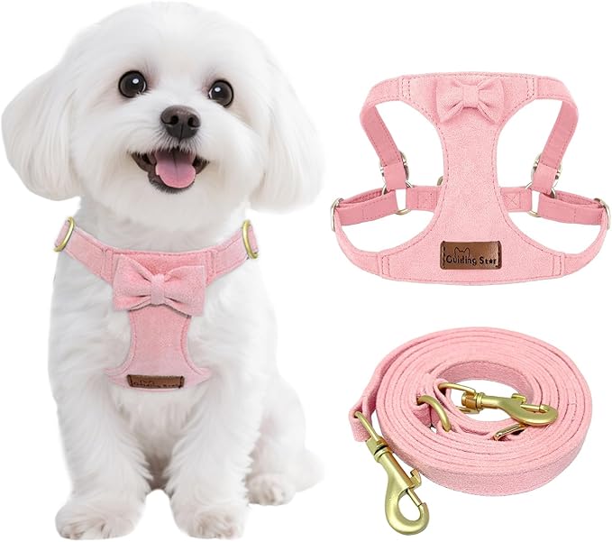 Guiding Star Dog Harness Small Sized Dog with Multifunction Leash, No Pull Puppy Dog Harness and Leash Set Training, Cute Soft Adjustable Dog Walking Harness Pet Vest Harness (Pink-XXS)