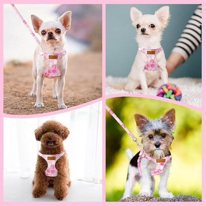 Lukovee Puppy Harness and Leash Set, No Pull Lightweight Soft Suede Adjustable Pet Harness Vest with Snap Buckle for Puppy Small and Medium Size Dog (Pink Strawberry, S)