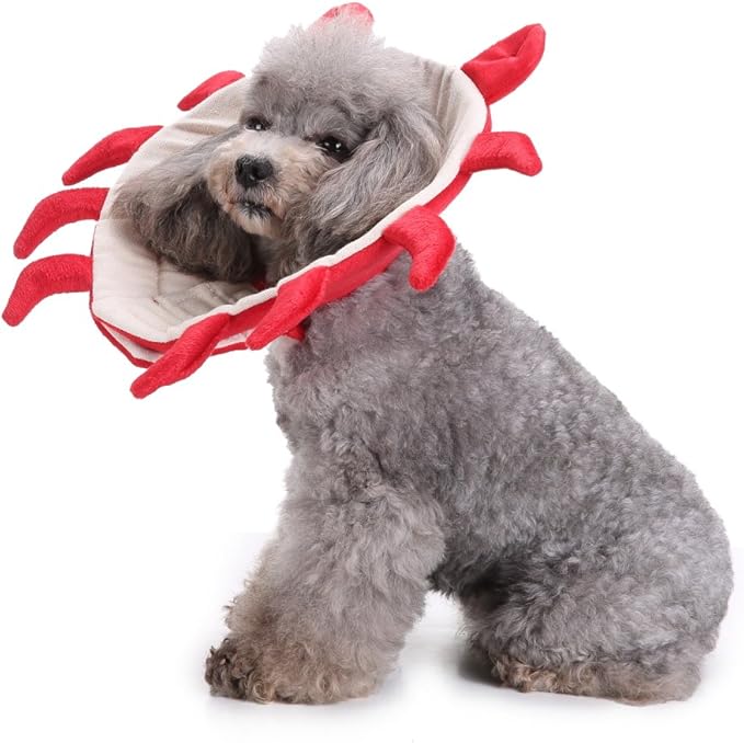 Pet Recovery Collar,Dog Protective E-Collar Soft Dog Cone Breathable Secure Lovely Collar for Puppy Small Medium Dogs (S-Neck: 30-33cm, Crab)