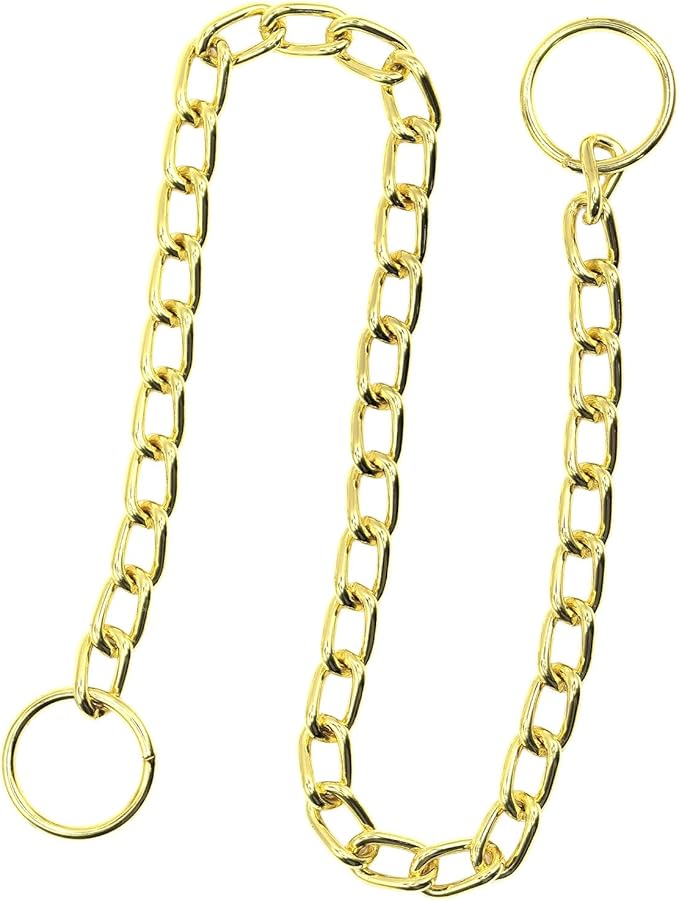 Gold Chain Collar for Dogs, Metal Slip Link Heavy Duty Dog Collar Training Puppy Collars for XXS XS Small Medium Large Big XL Breed Dogs, XSmall