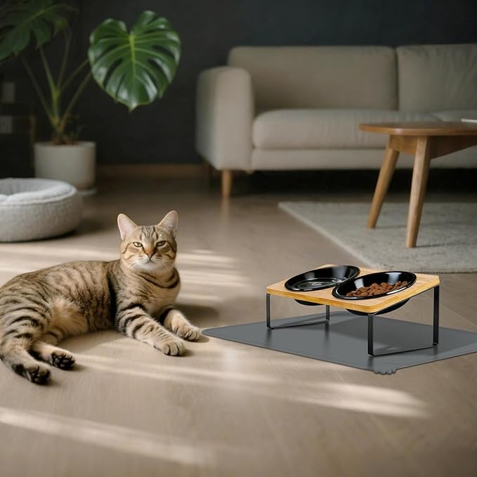 LEAWALK Upgraded Adjustable Height Cat Food Bowls Stand Ceramic Dog Bowls and Slow Feeder Cat Bowl, 15°Tilted Stand Anti Vomiting Raised for Small and Medium Sized Cats Dogs (Black (2 Bowl+Pet mat))