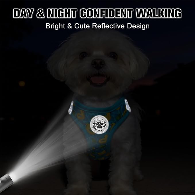 BEAUTYZOO Small Dog Harness and Leash Set,Step in No Choke No Pull Soft Mesh Dog Harnesses Reflective for Extra-Small/Small Medium Puppy Dogs and Cats,BlueDuck M