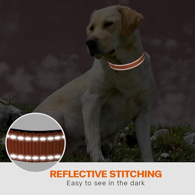Taglory 16-24" Dog Collar & 4 FT Leash Set, Reflective, Adjustable, Safety Locking Buckle for Large Dogs