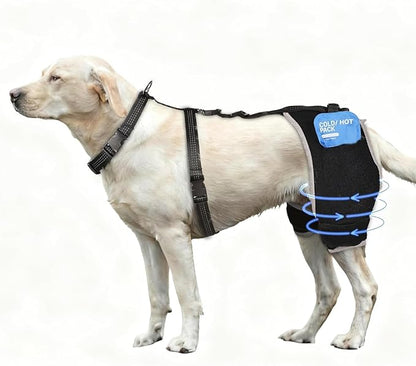 Dog Hip Dysplasia Brace with Removable Hot/Cold Pack — Breathable, Comfortable Hip & Rear-Leg Support for Mild ACL, Knee Instability & Mobility Comfort, Size L