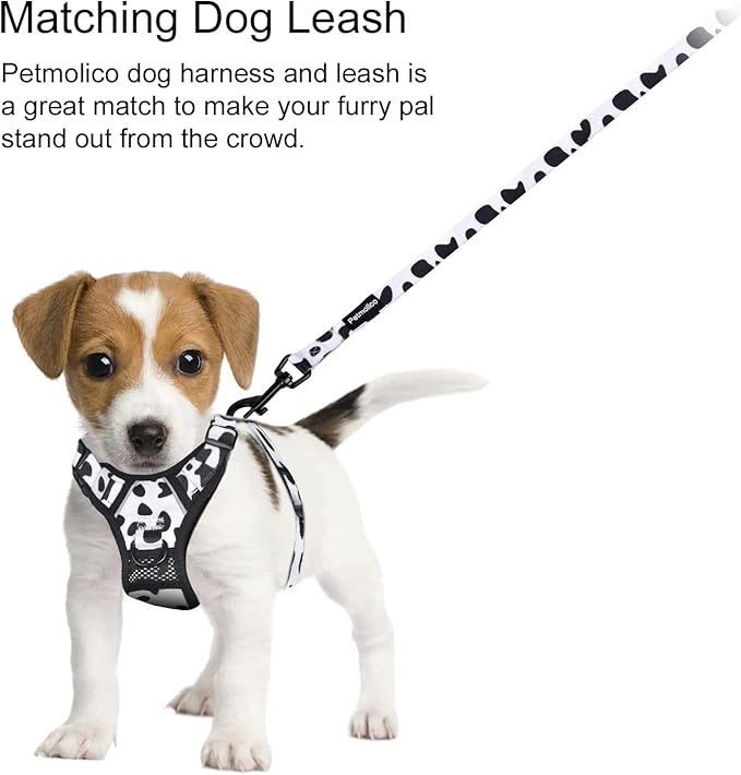 Petmolico No Pull Dog Harness and Leash Set, No Choke 4 Leash Attchments Easy Control Handle Soft Padded Reflective Vest Dog Harness for Small Dog Breed, Cow Pattern Small