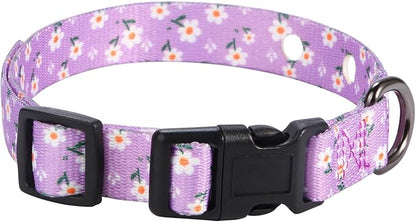 Rhea Rose 3/4 Inch Replacement Collar Strap Shock Collar with 2 Holes, Compatible with Nearly All Brands and Models of Underground Electric Dog Fences and Training Collars, Lavender Flowers