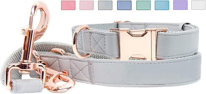 Soft Leather Dog Collar and Leash (6.6') Set - Stylish Rose Gold Heavy Duty Metal Buckle, 4 Adjustable Lengths Leash for Small Medium Large Dogs - Comfortable & Easy to Clean Grey S(12.2"-16.9")