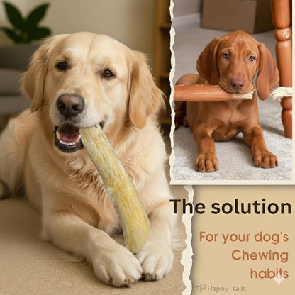 Coffee Wood Dog Chew Stick Toy for Dog, Made from Real Coffee Wood, Sticks for Pets, Safe Dental Cleaning Chews, Pets Health, Teeth Cleaning and Relieve Stress (Small)