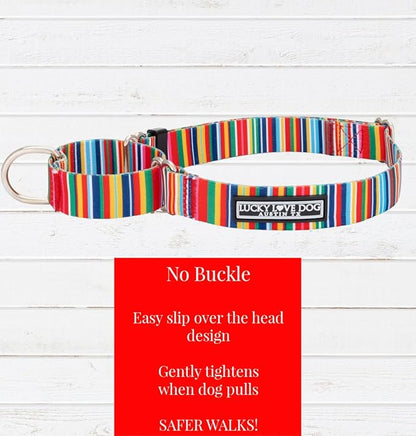 Lucky Love Dog Martingale Dog Collar - Adjustable, No-Slip, Durable, & Soft Webbing Collar for Male and Female Dogs Ideal for Training & Walking - Hippie, Large
