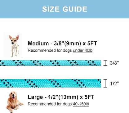 5 FT Slip Lead Dog Leash, Heavy Duty Rope Leash for Small Medium Large Dogs, No Pull Training Lead with Reflective Thread, Strong Comfortable Loop Leash (Teal Stripe, Medium(3/8"))
