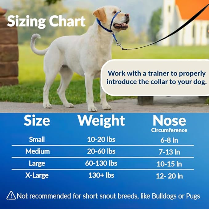 Headcollar for Dogs, Extra Soft Padded, Reflective, No Pull Dog Collar, Gentle Leader for Dogs with Durable Nylon Leash, Padded Handle - Navy Blue (Medium)