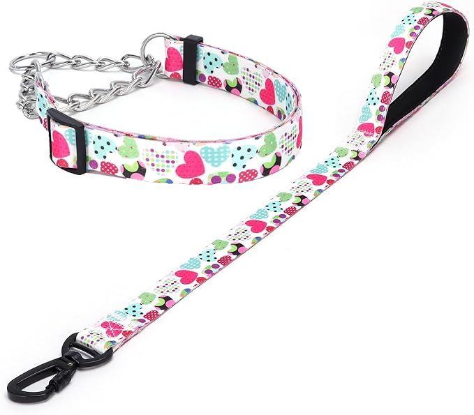 Martingale Dog Collar and Leash Set, Stainless Steel Chain, No Pull Training Collar with Flower Design, for Small, Medium, Large Dogs (NO4, L)
