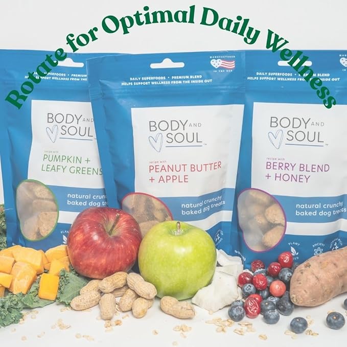 Body and Soul Pumpkin + Leafy Greens Crunchy Premium Training Dog Treat Superfood Oven Baked Biscuits Oats Barley & Quinoa - Clean Natural Plant Protein, No Additives No Fillers Made in USA 2Pk (20oz)