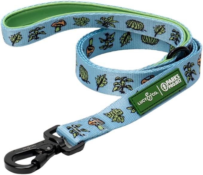 Lucy & Co. x Parks Project Feel the Earth Breath Dog Leash, Durable Matching Dog Lead with Heavy Duty Hardware, Large