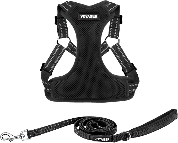 Best Pet Supplies Voyager Adjustable Step-in Flex Breathable Mesh Dog Harness for Small Medium Large Dogs Leash Set (Black), L