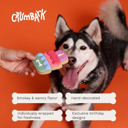 Dog Birthday Treats | Hand-Decorated Treats – 3 Pack in Gift Box | Extra Large Treat 62g Cookie, Vegan Dog Birthday Cake