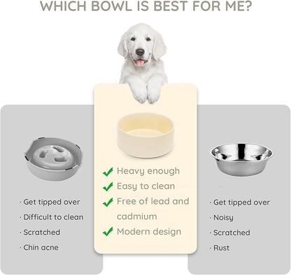 SPUNKYJUNKY 42OZ Ceramic Dog and Cat Bowl, Modern Cute Weighted Food Water Bowl for Replacement Beige (2 Pack)