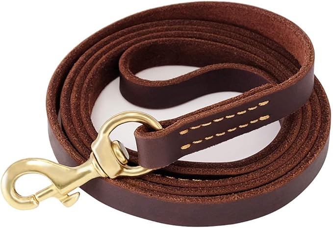FAIRWIN Leather Dog Leash 6 Foot - Dog Training Leash Heavy Duty Dog Lead for Large Medium Small Dogs (M - 6 ft x 5/8 inch, Reddish Brown)
